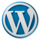 Premium WordPress Development Services services image for DriveJCS